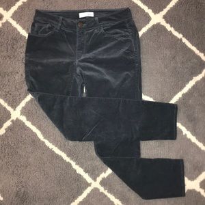 Loft Curvy Skinny Cords in Blue